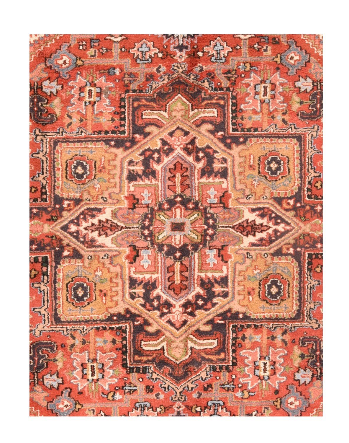 Area Rug 2402