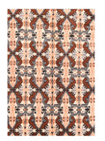 Area Rug 2411