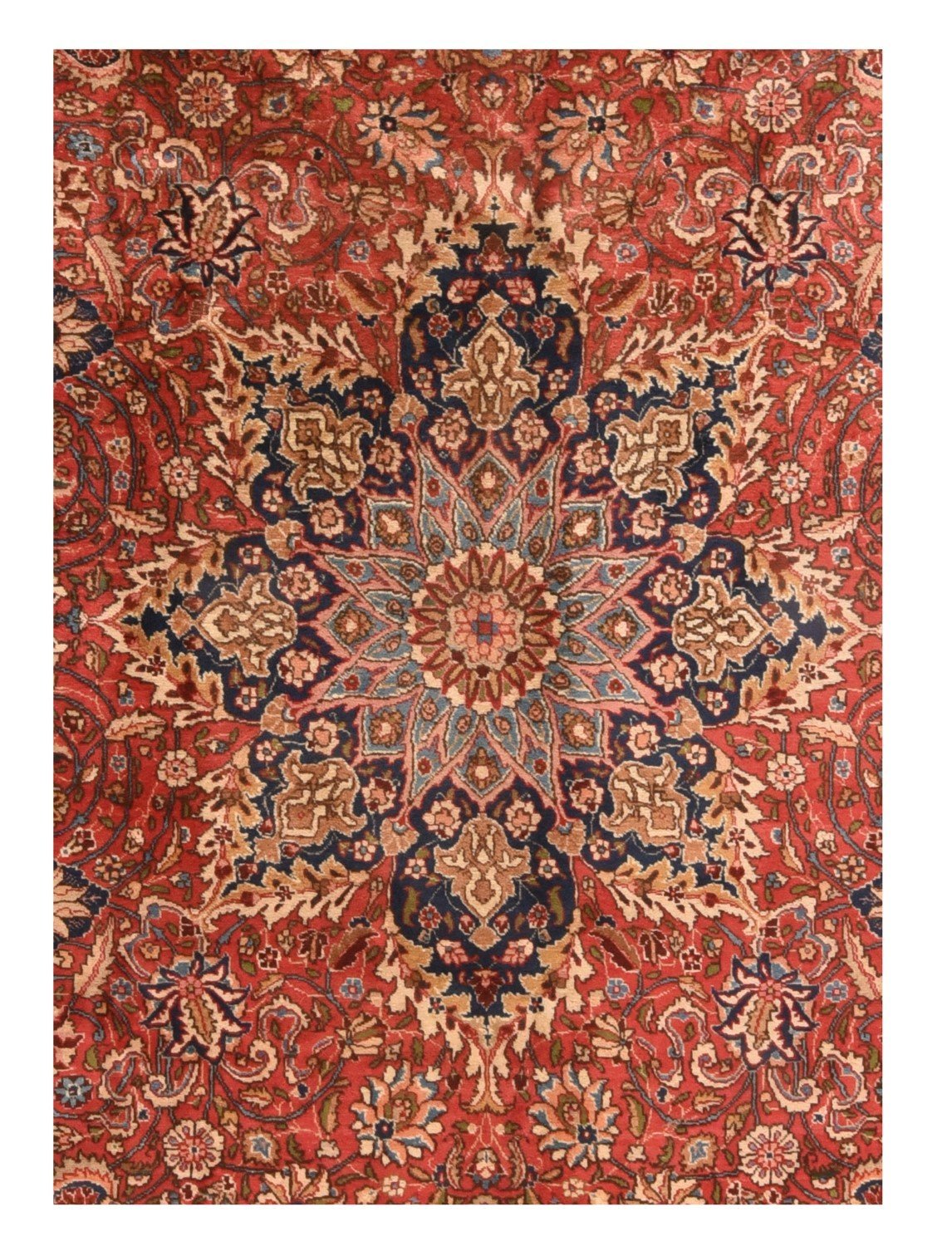 Area Rug 2412
