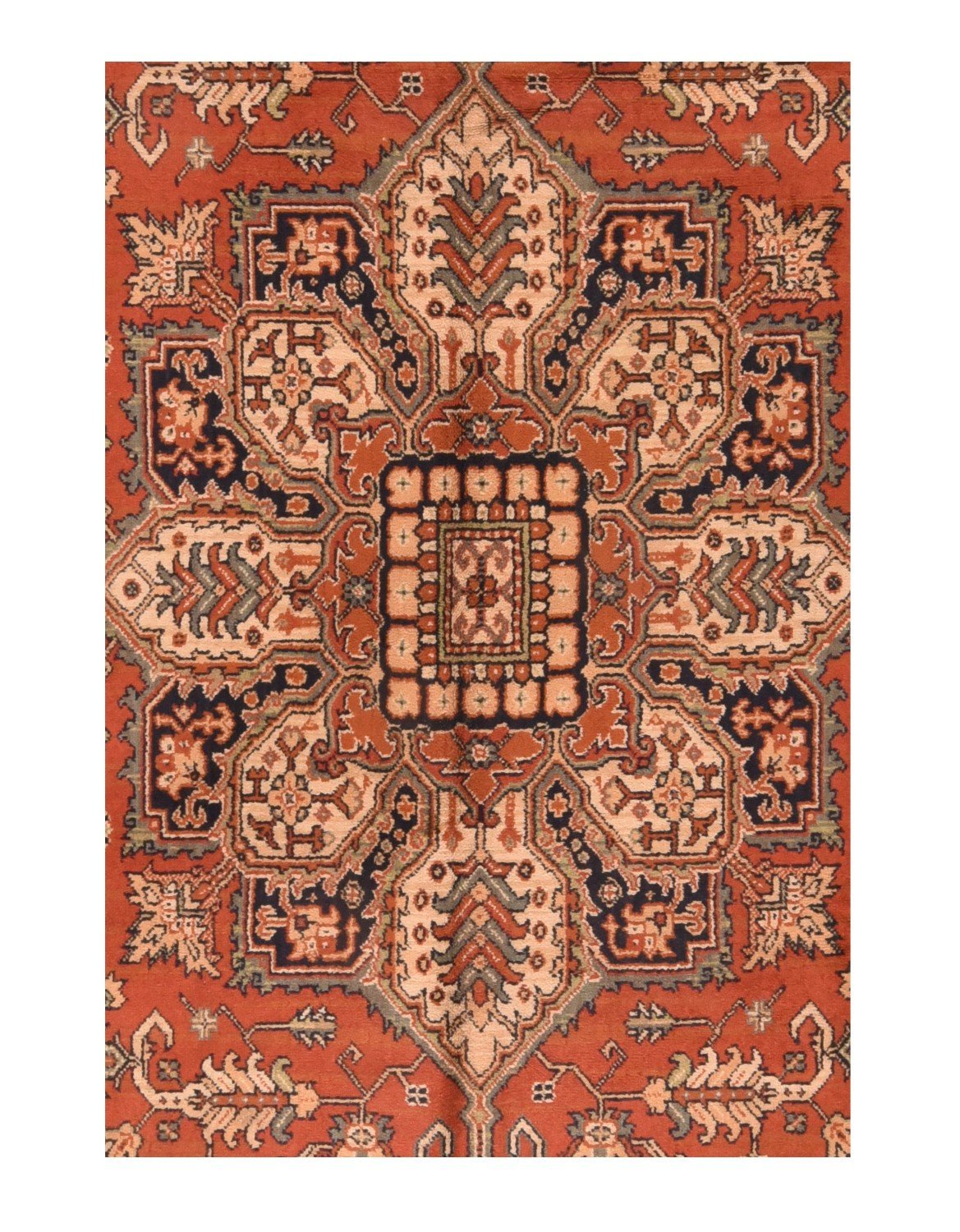 Area Rug 2416