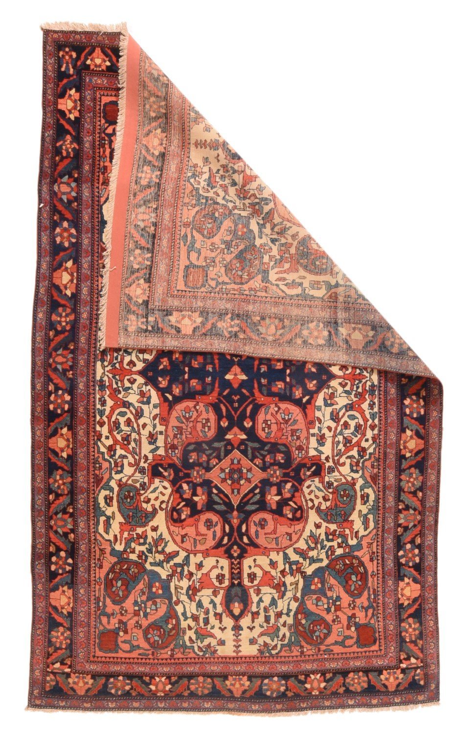 Area Rug 2428