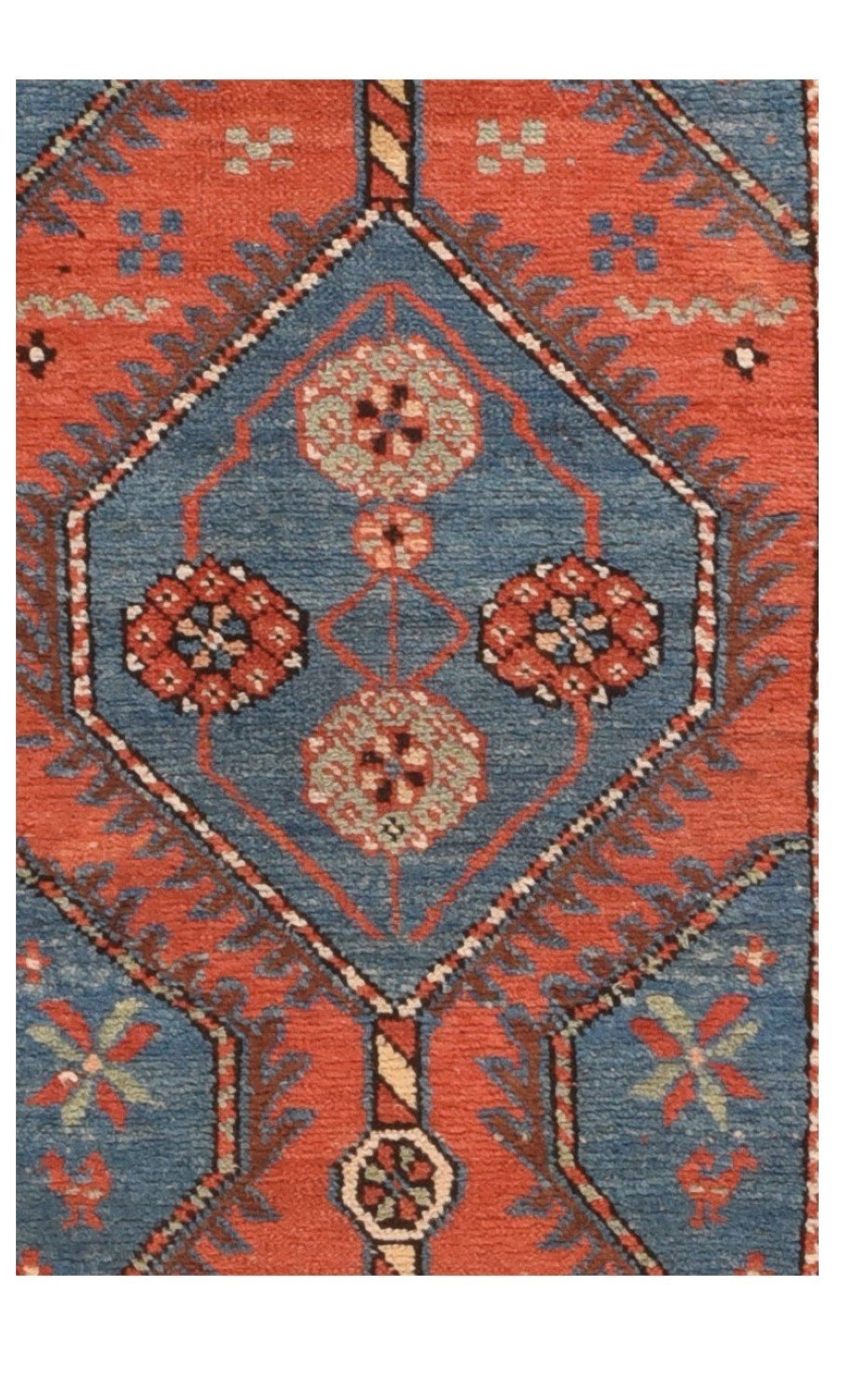 Area Rug 2433