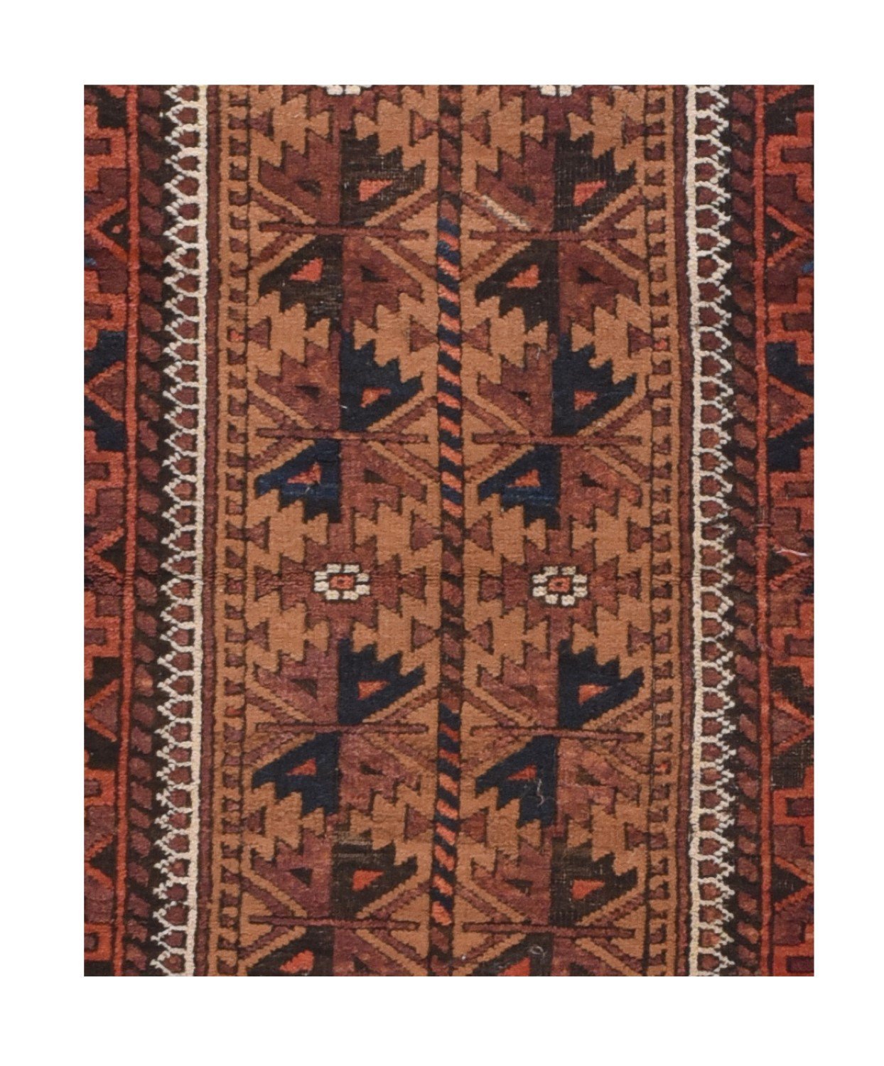 Area Rug 2437