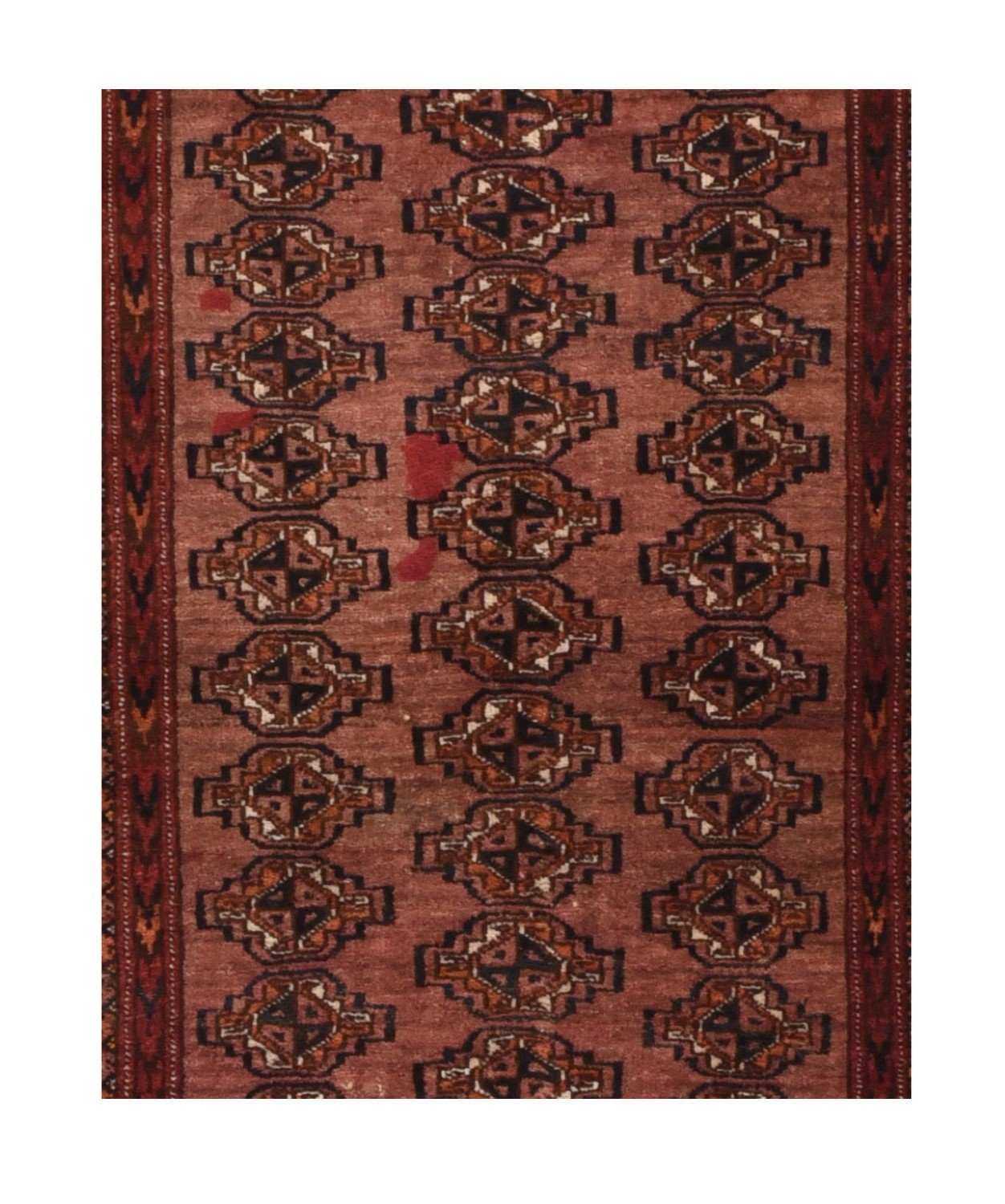 Area Rug 2444