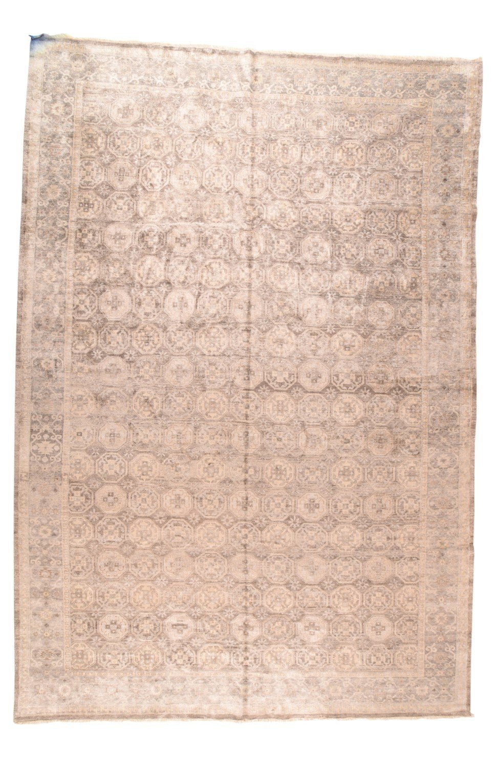 Area Rug 2477