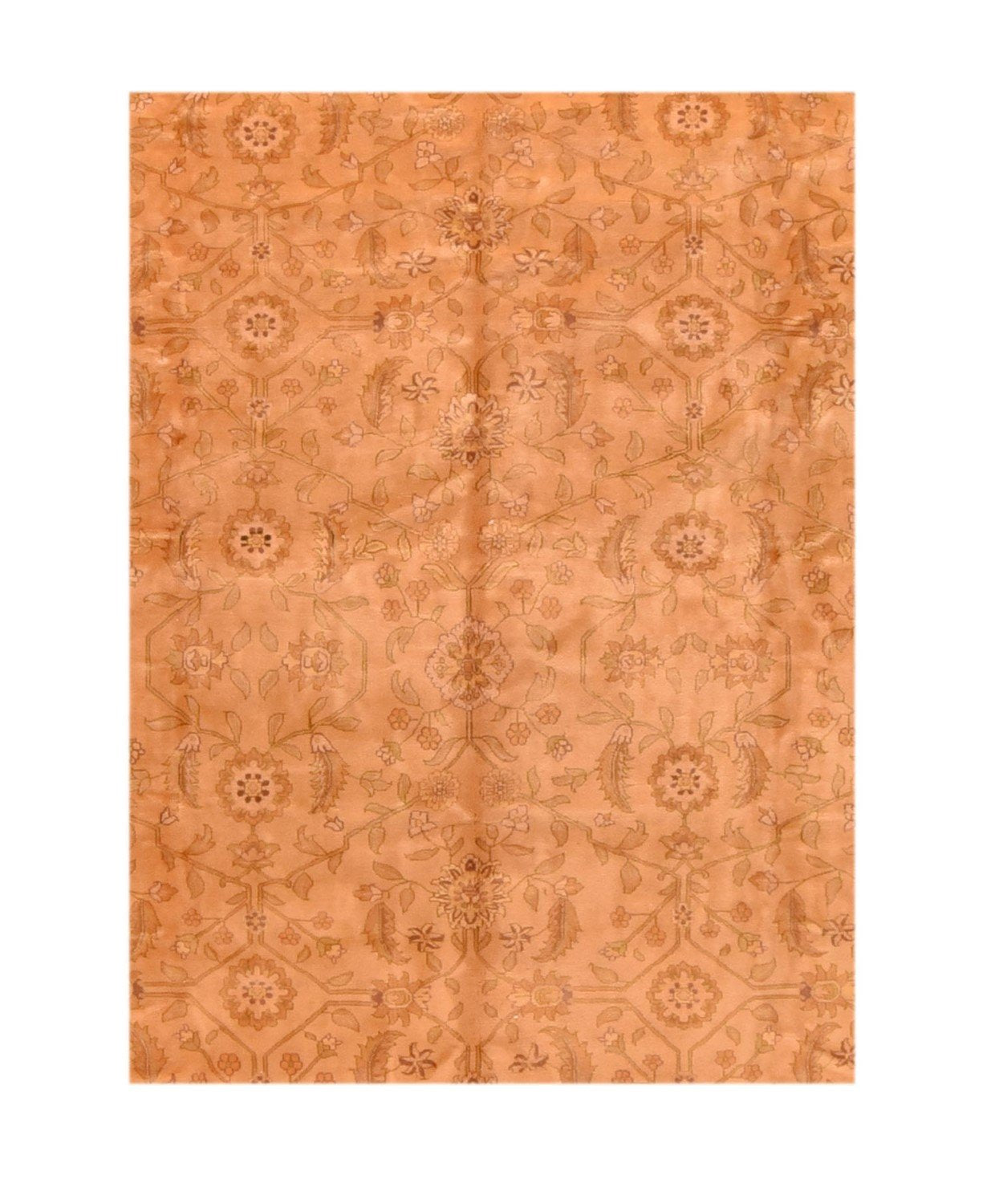 Area Rug 2479