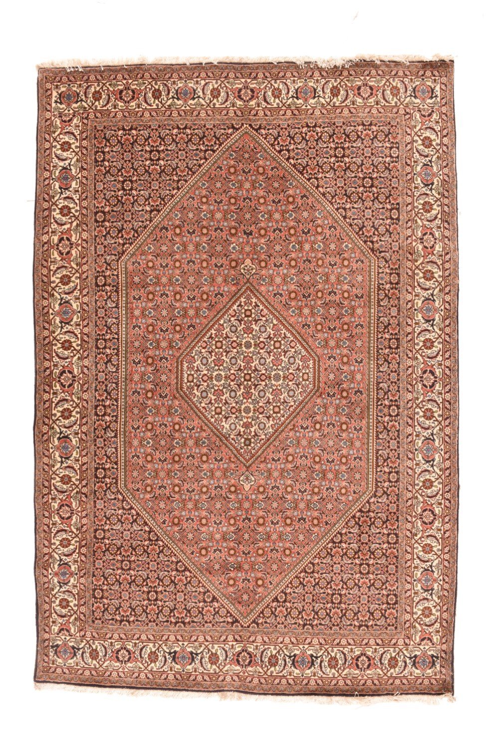 Area Rug 2507