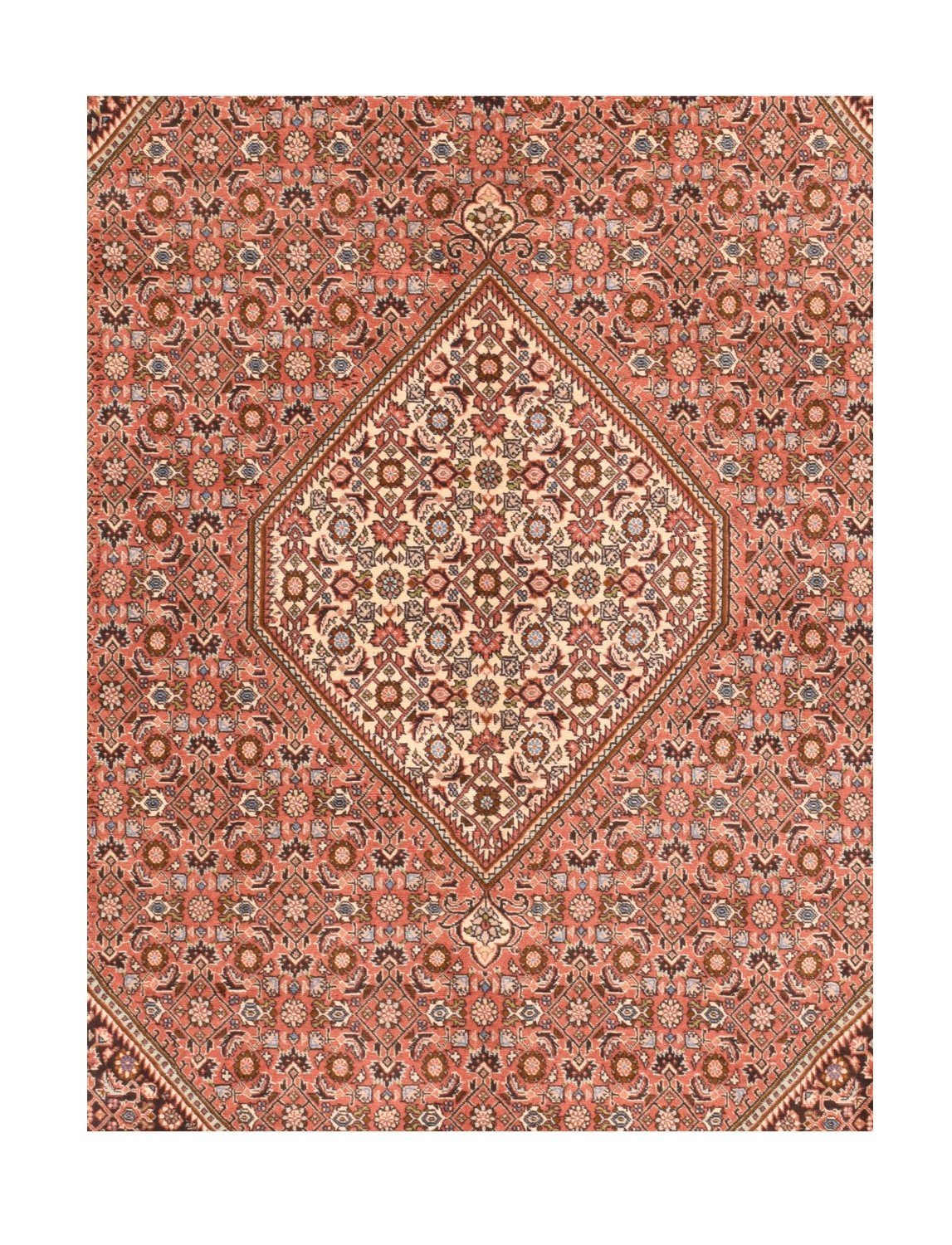 Area Rug 2507