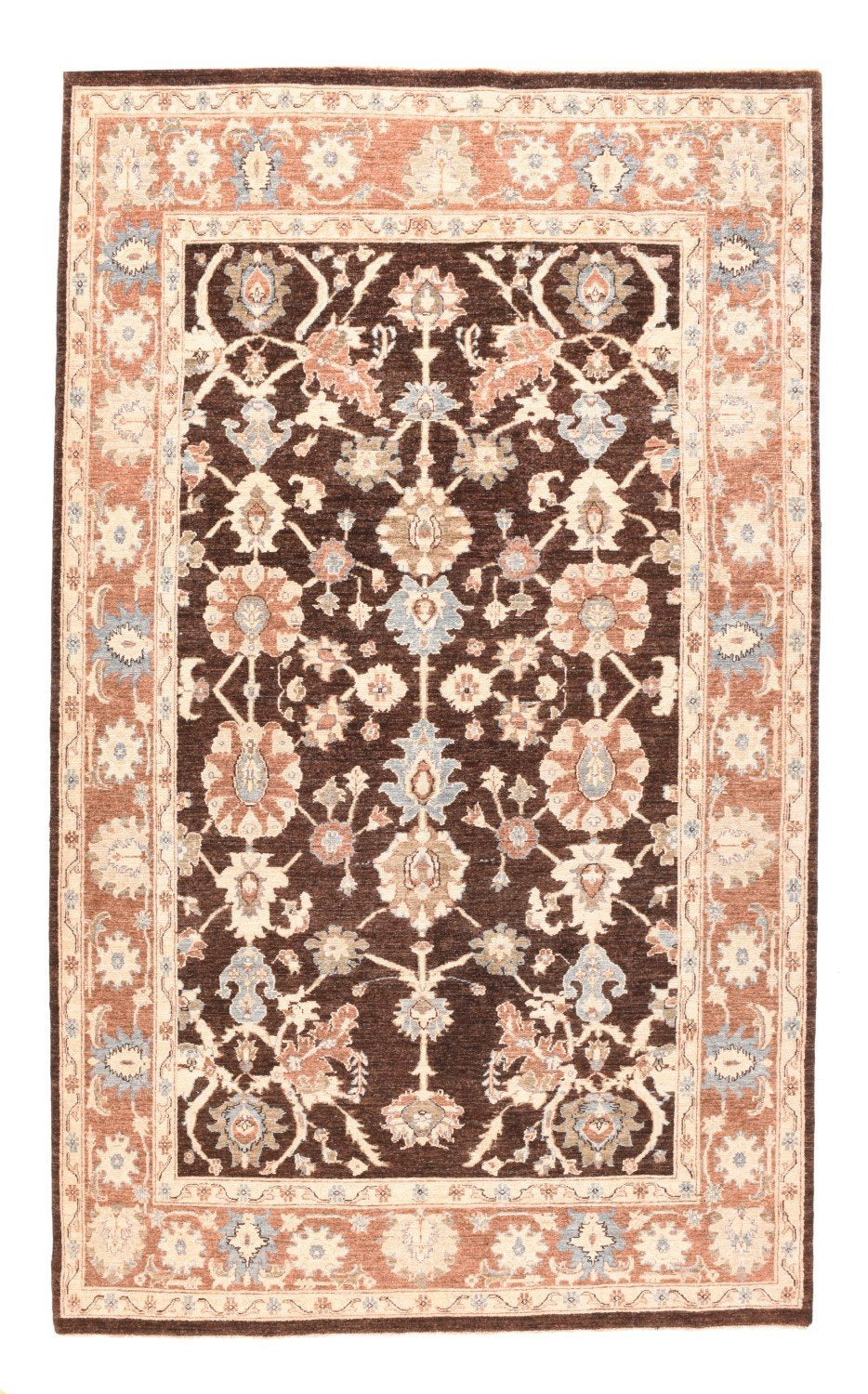 Area Rug 2534
