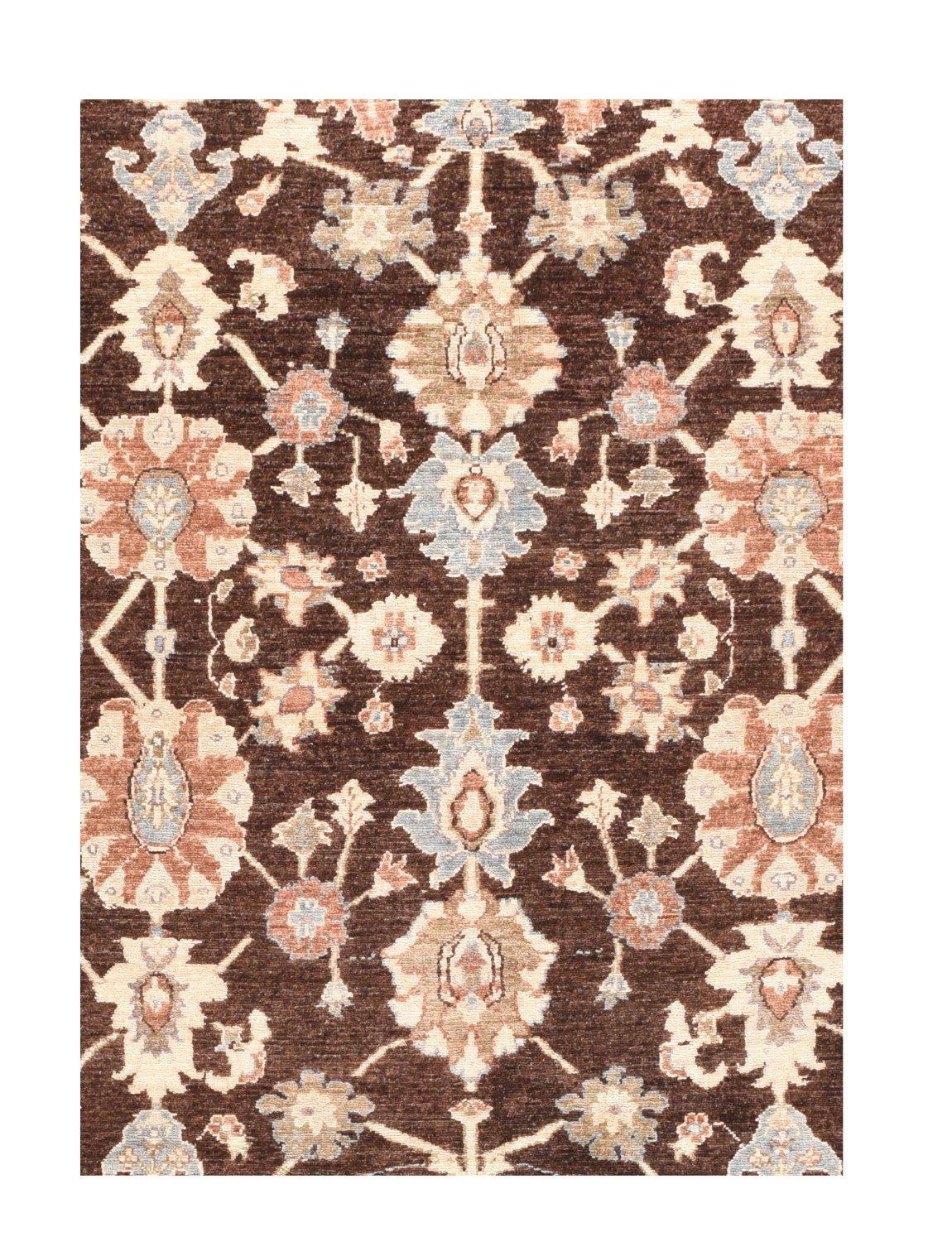 Area Rug 2534