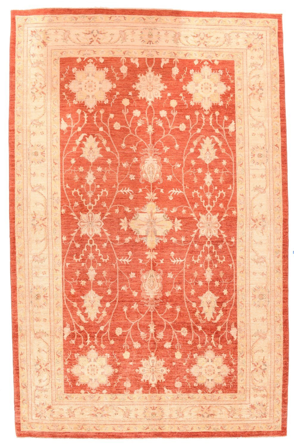 Area Rug 2535