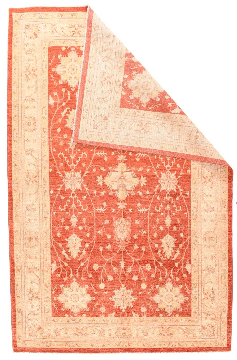 Area Rug 2535