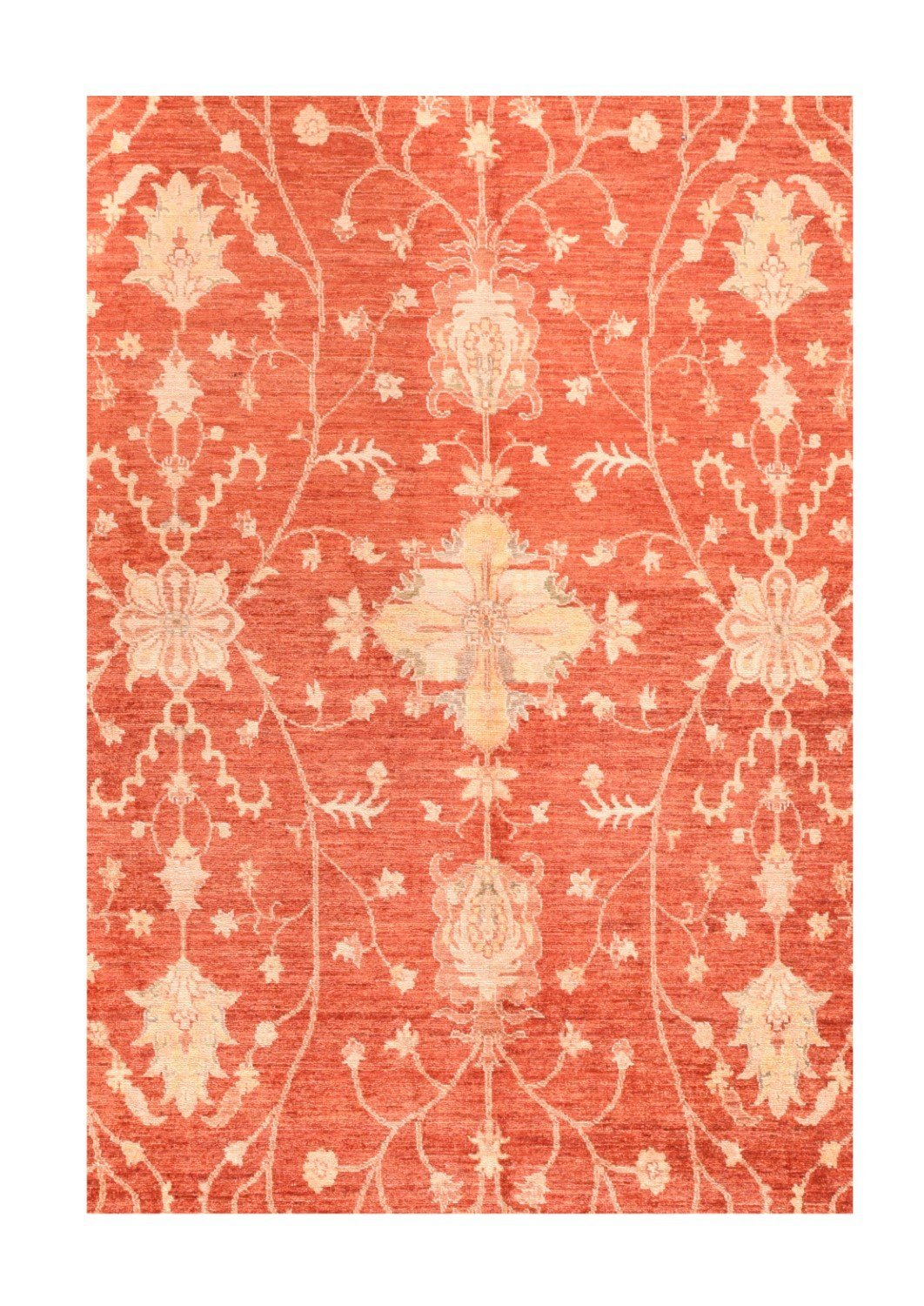 Area Rug 2535