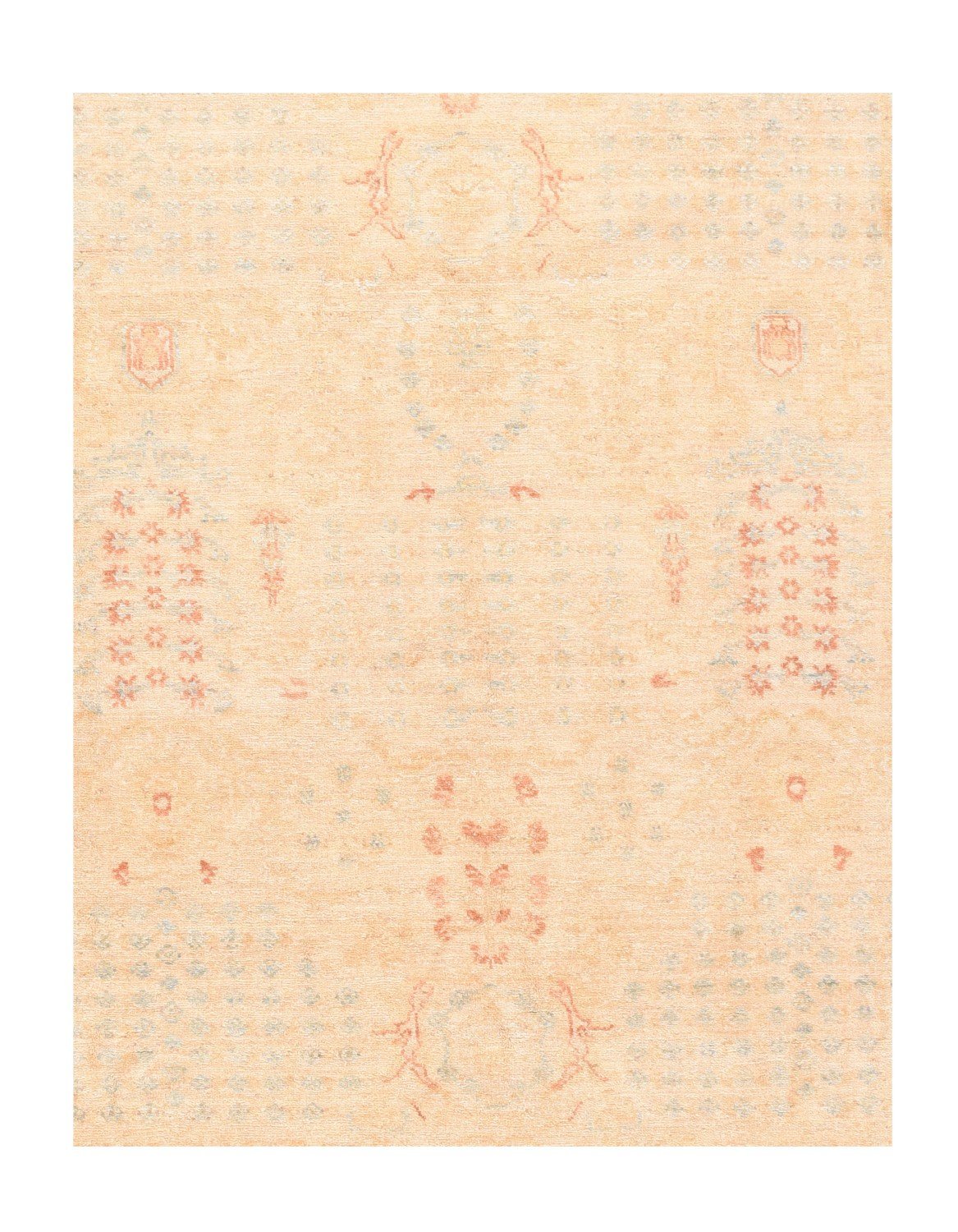 Area Rug 2538