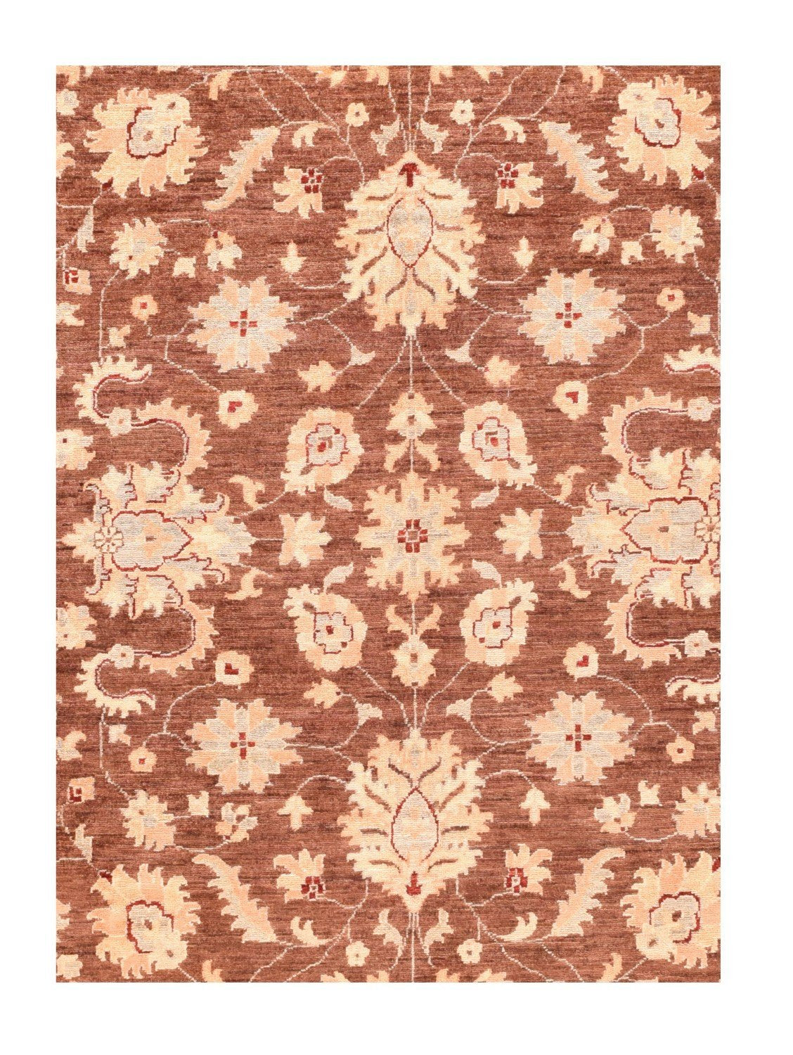 Area Rug 2539