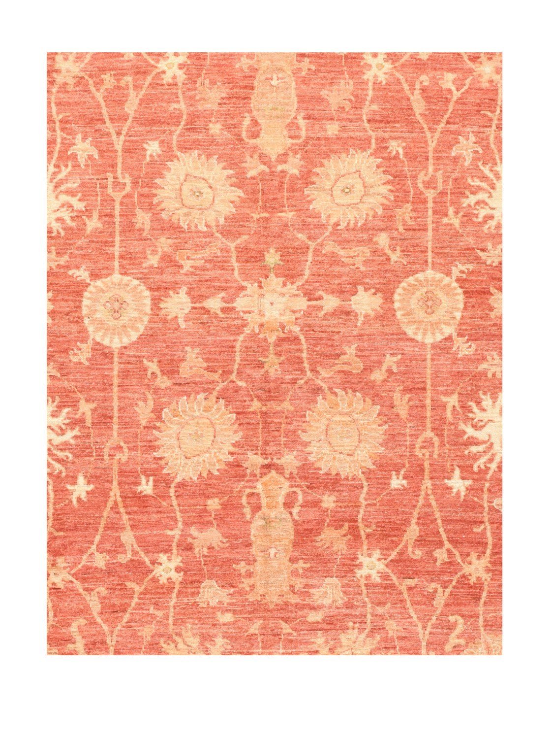 Area Rug 2541