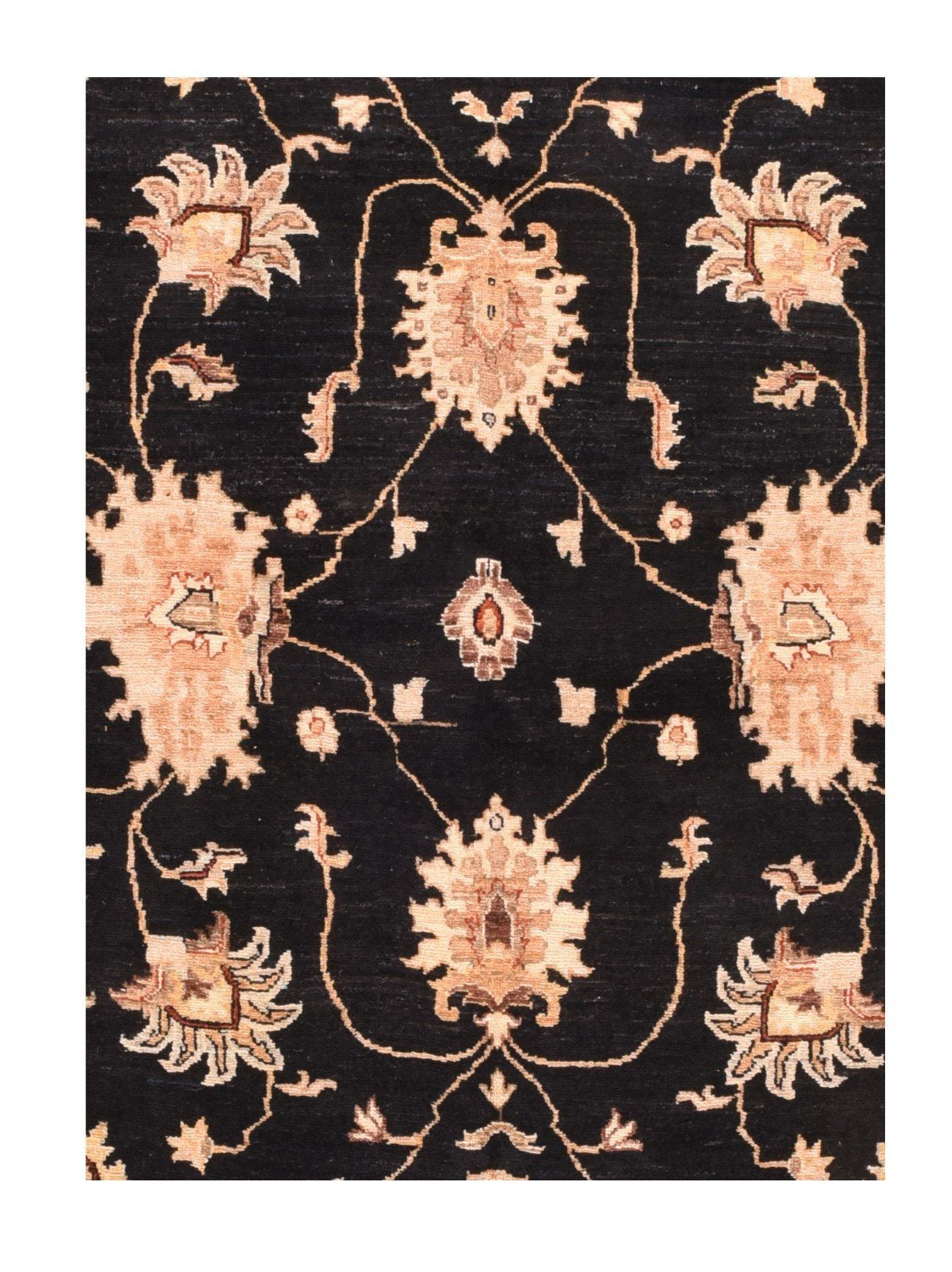 Area Rug 2542