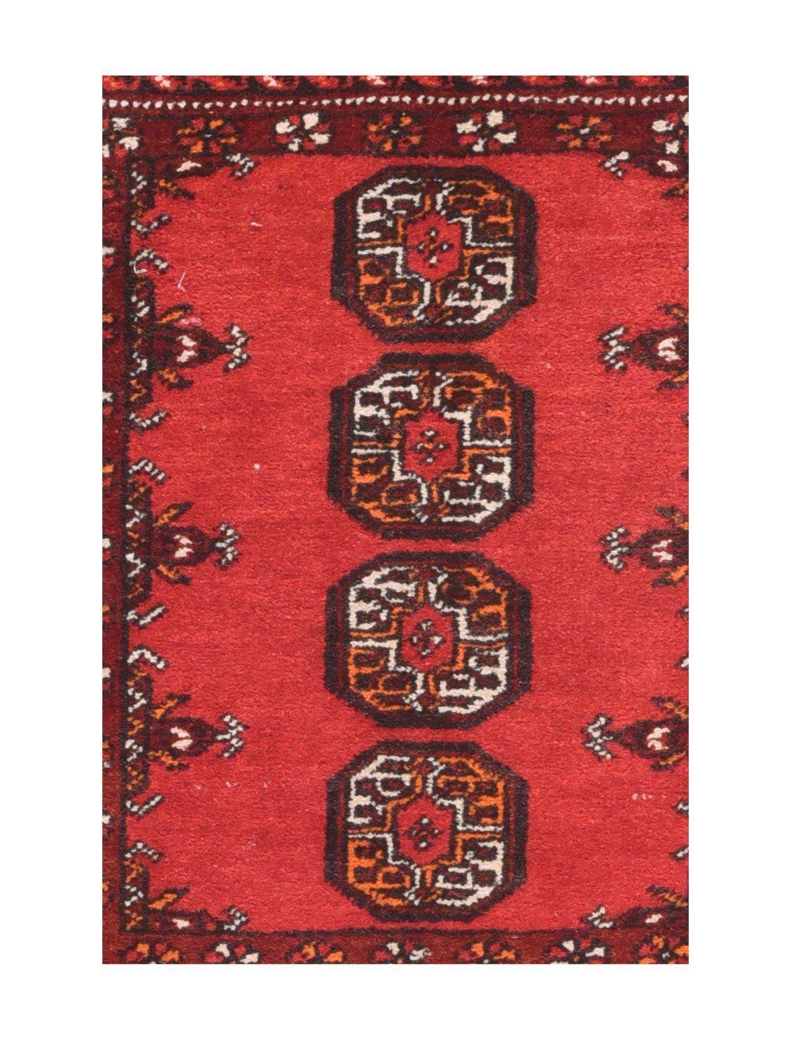 Area Rug 2568