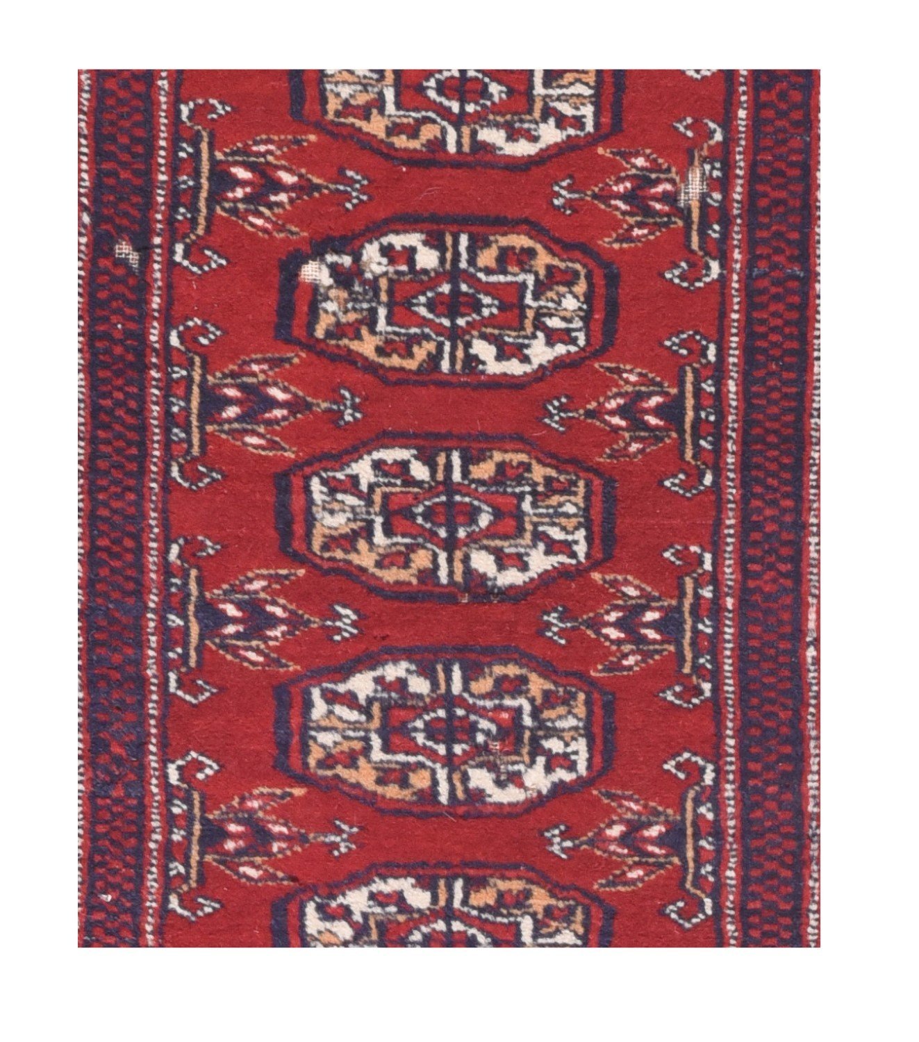 Area Rug 2569