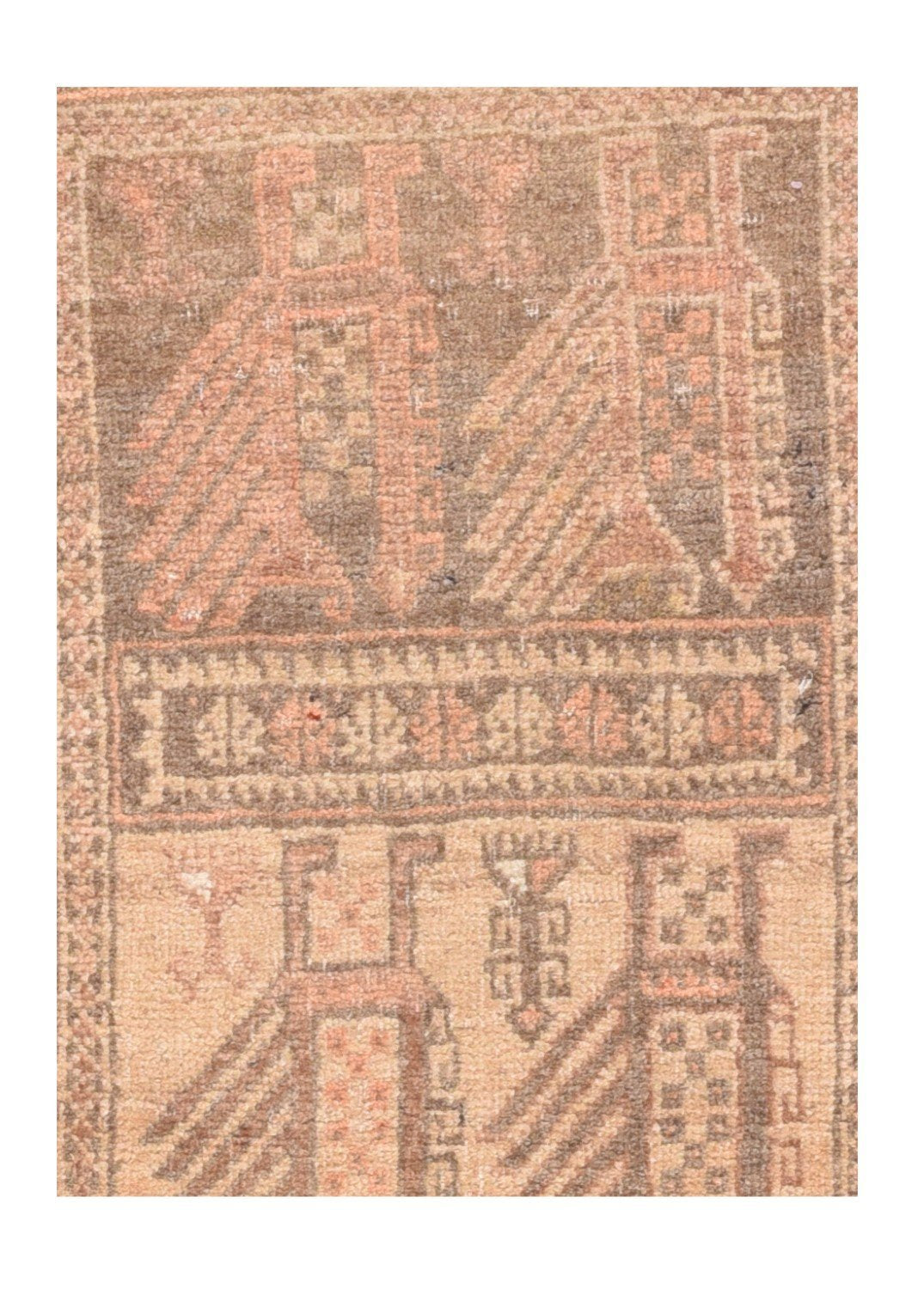 Area Rug 2570