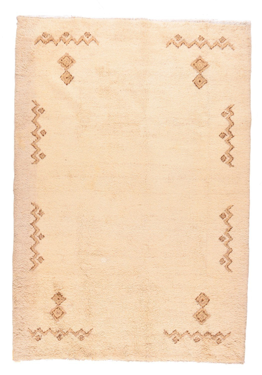 Area Rug 2579