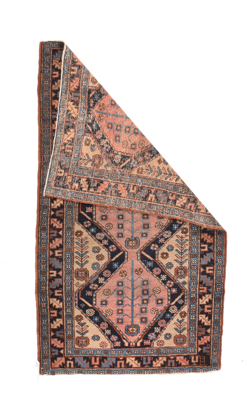 Antique Salmon Heriz Persian Area Rug