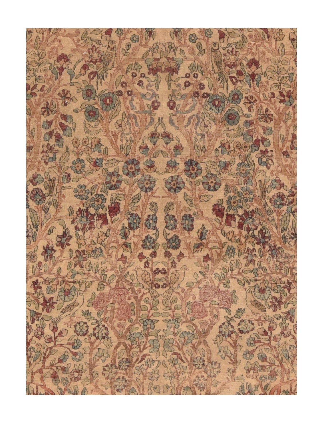 Area Rug 2614