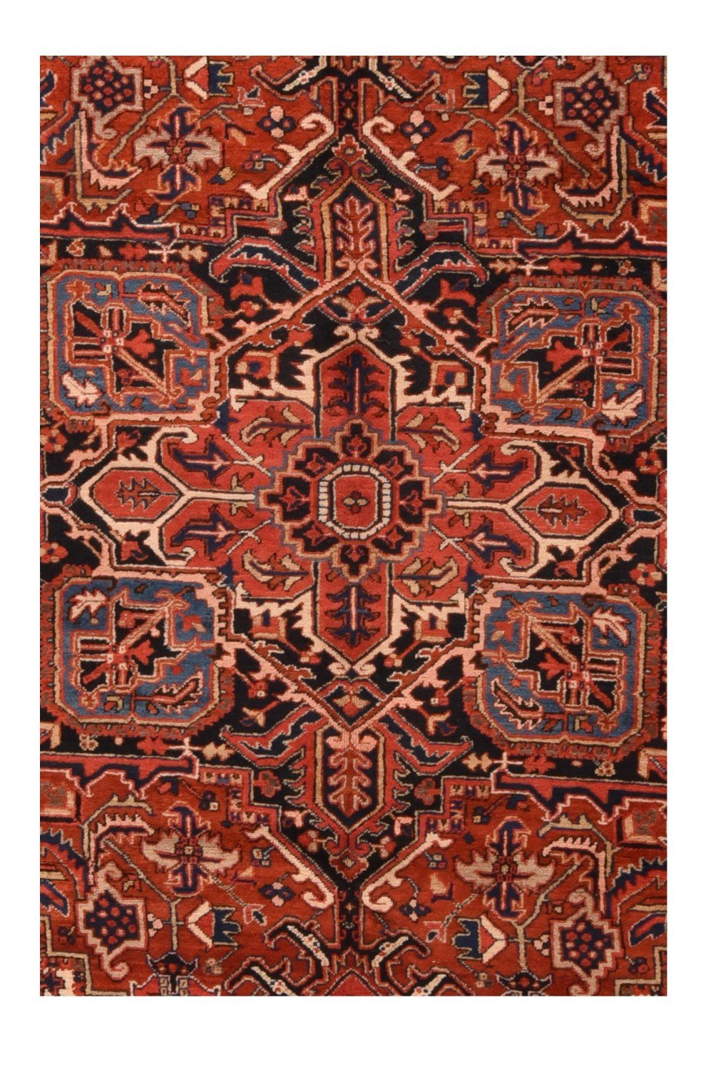 Area Rug 2624