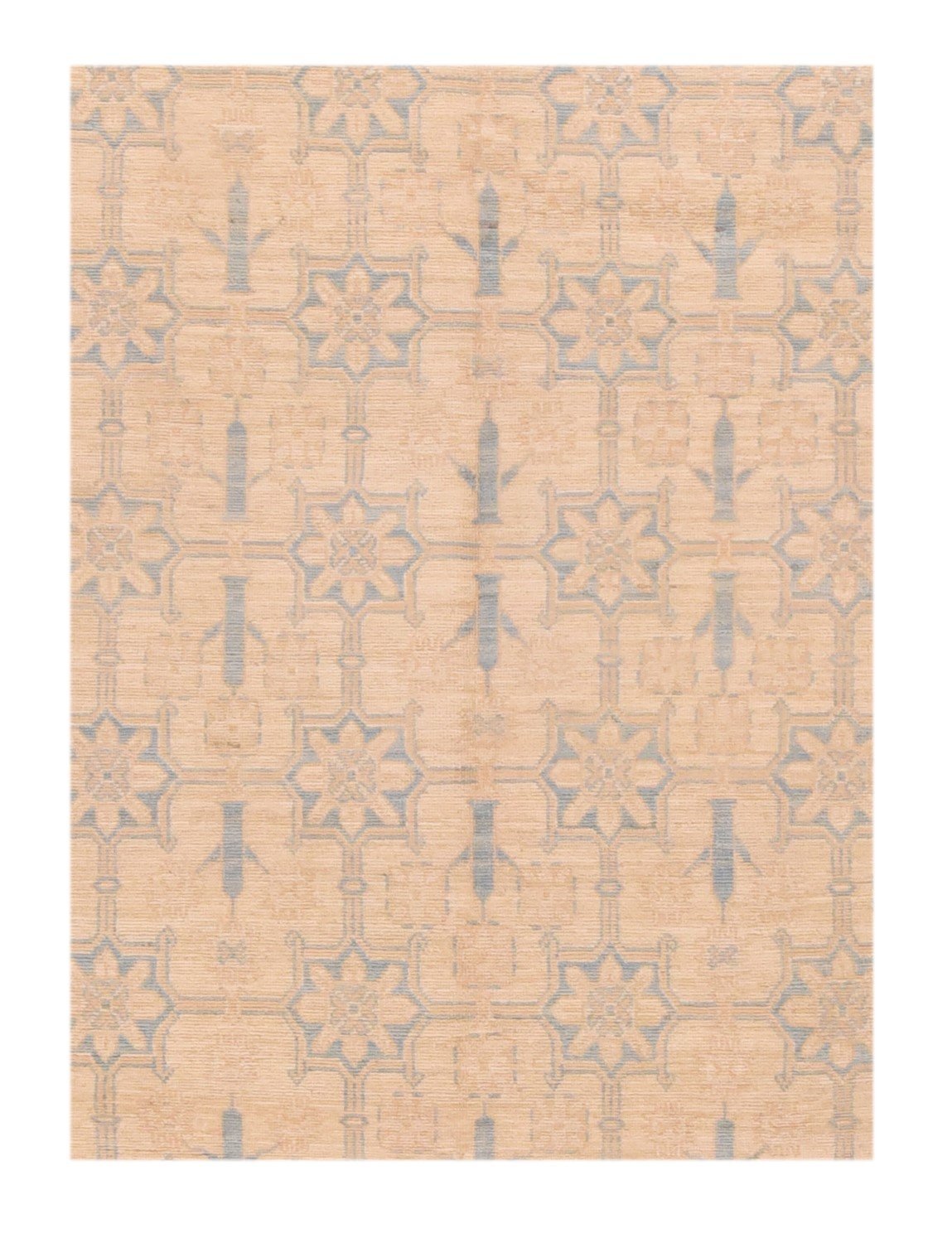 Area Rug 2634