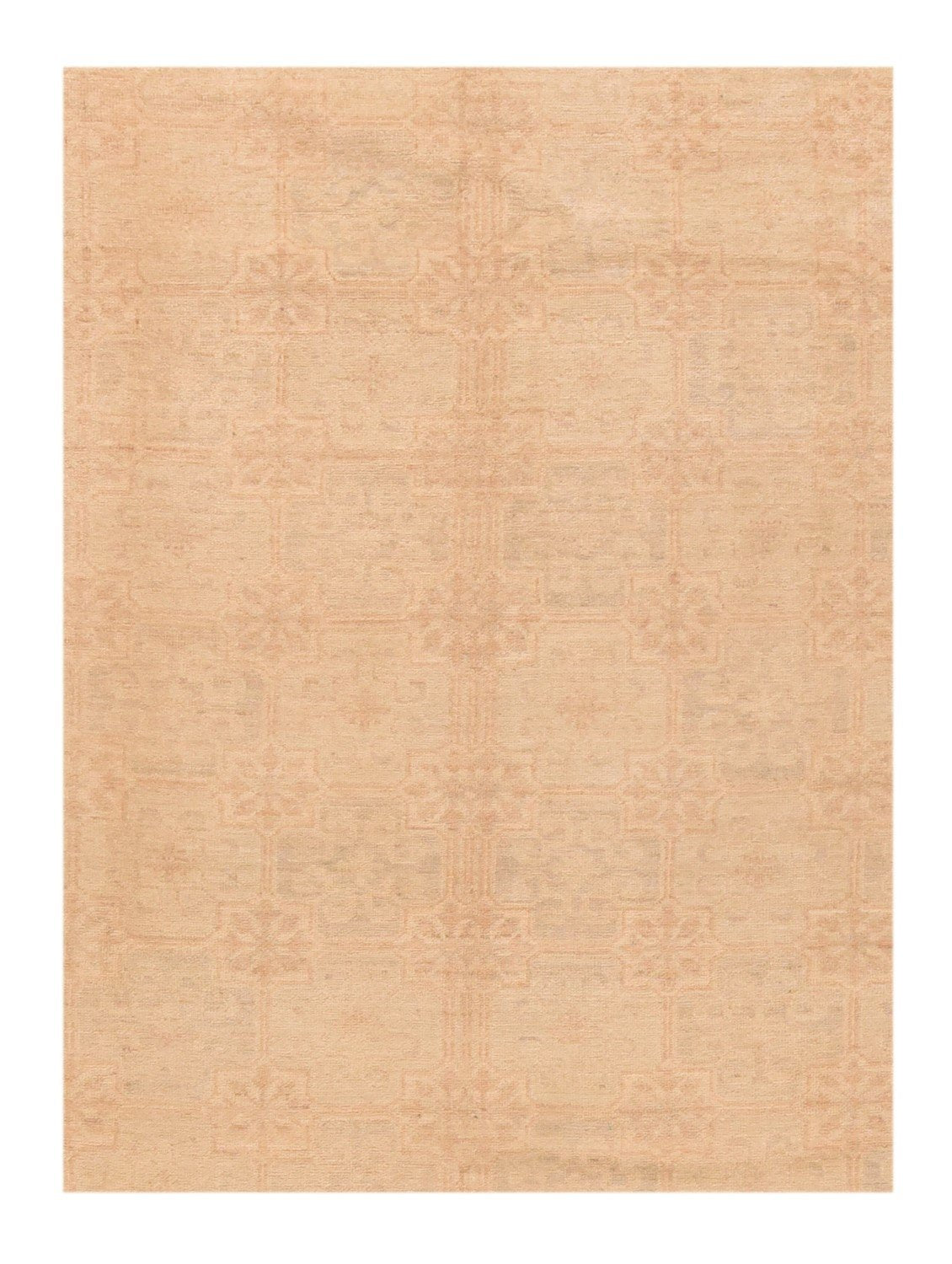 Area Rug 2636