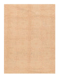 Area Rug 2636