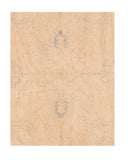 Area Rug 2639
