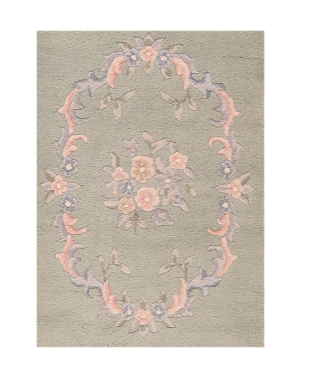 Area Rug 2691