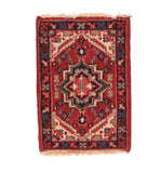 Area Rug 2728