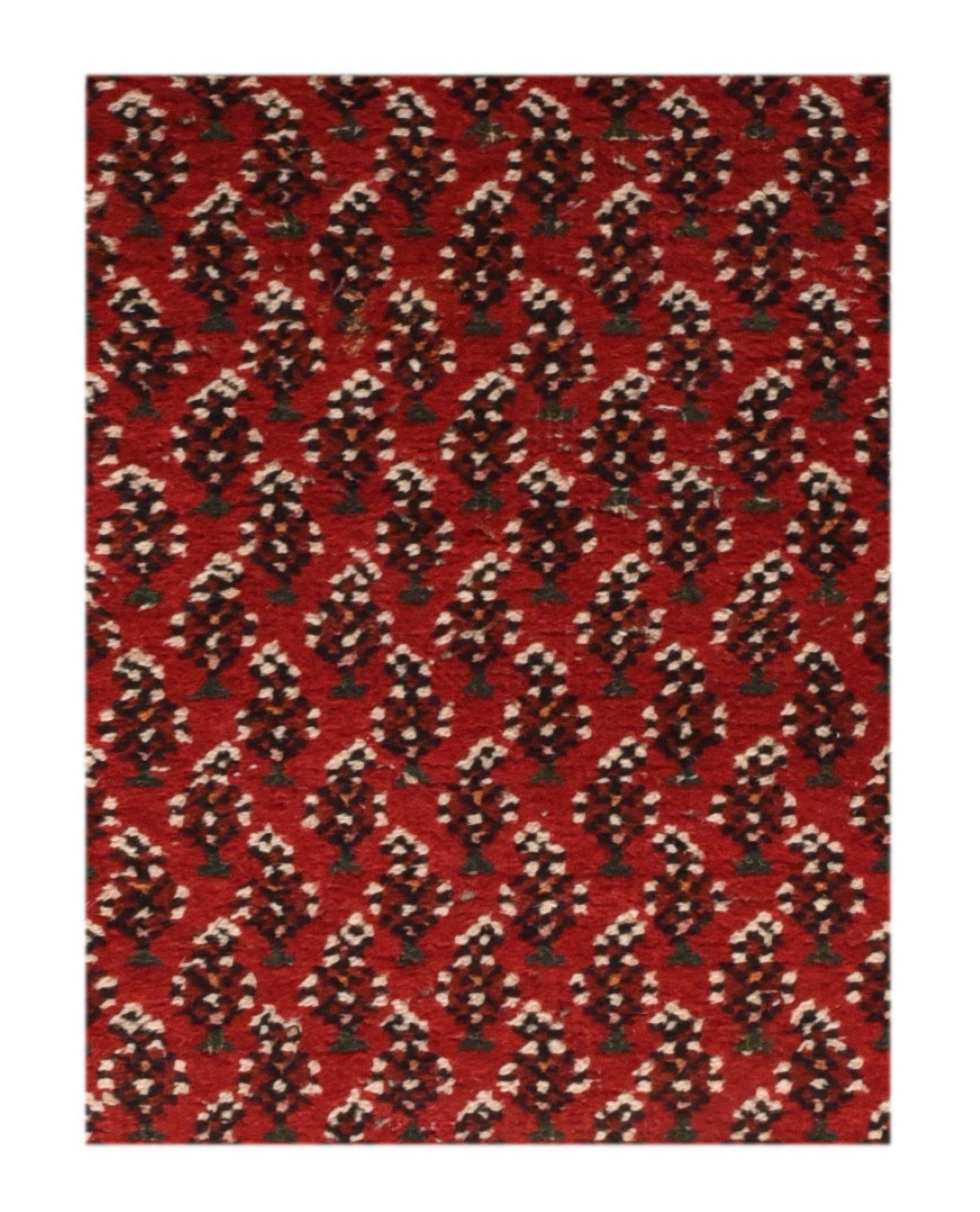Area Rug 2773