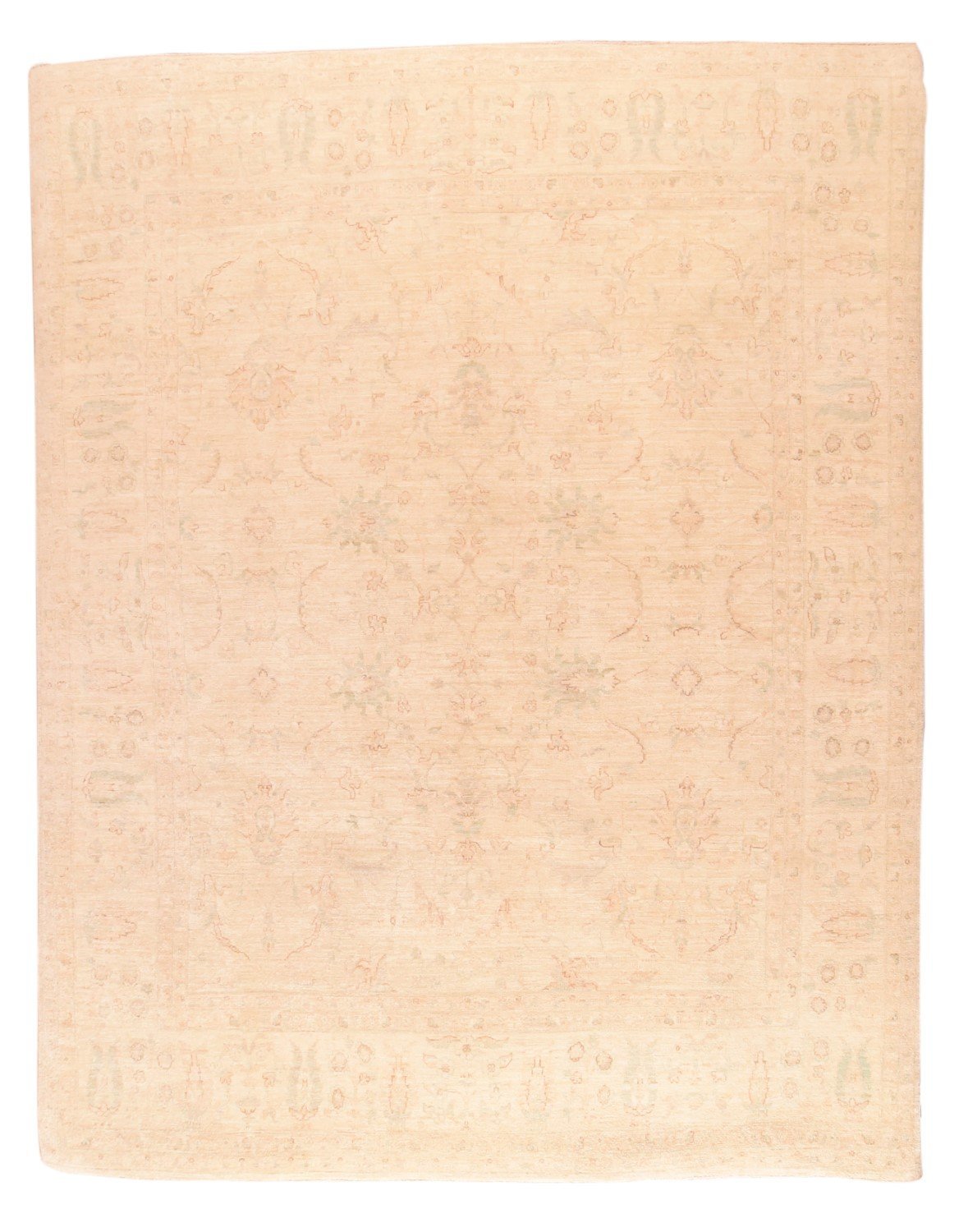 Area Rug 2804