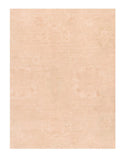 Area Rug 2821