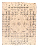 Area Rug 2826