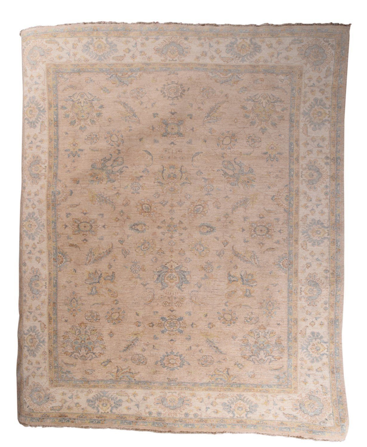 Area Rug 2863