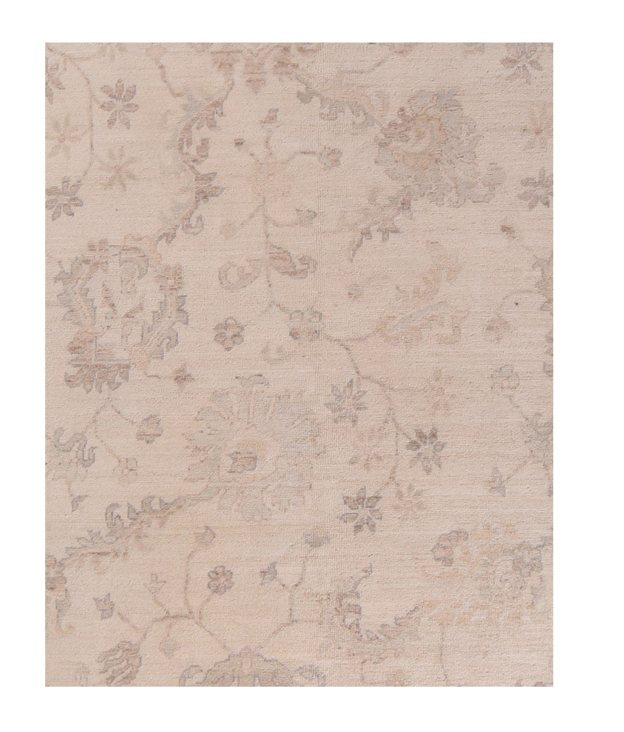 Area Rug 2866