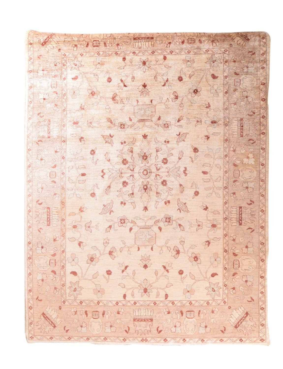 Area Rug 2889