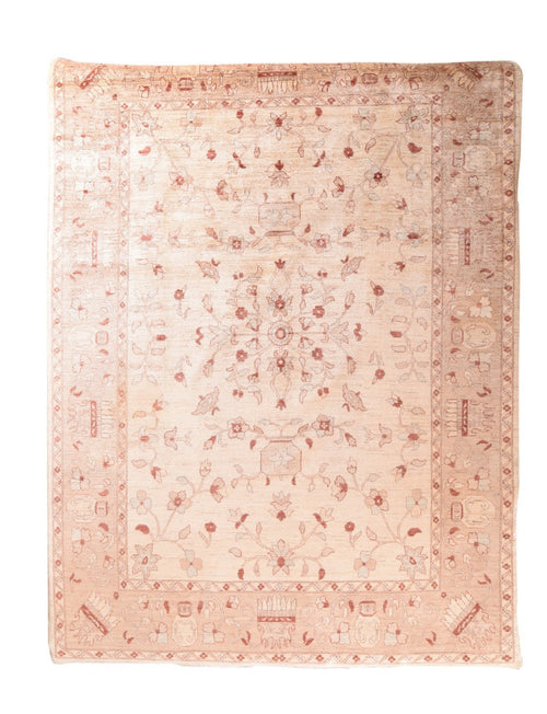 Area Rug 2889