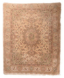 Area Rug 2895