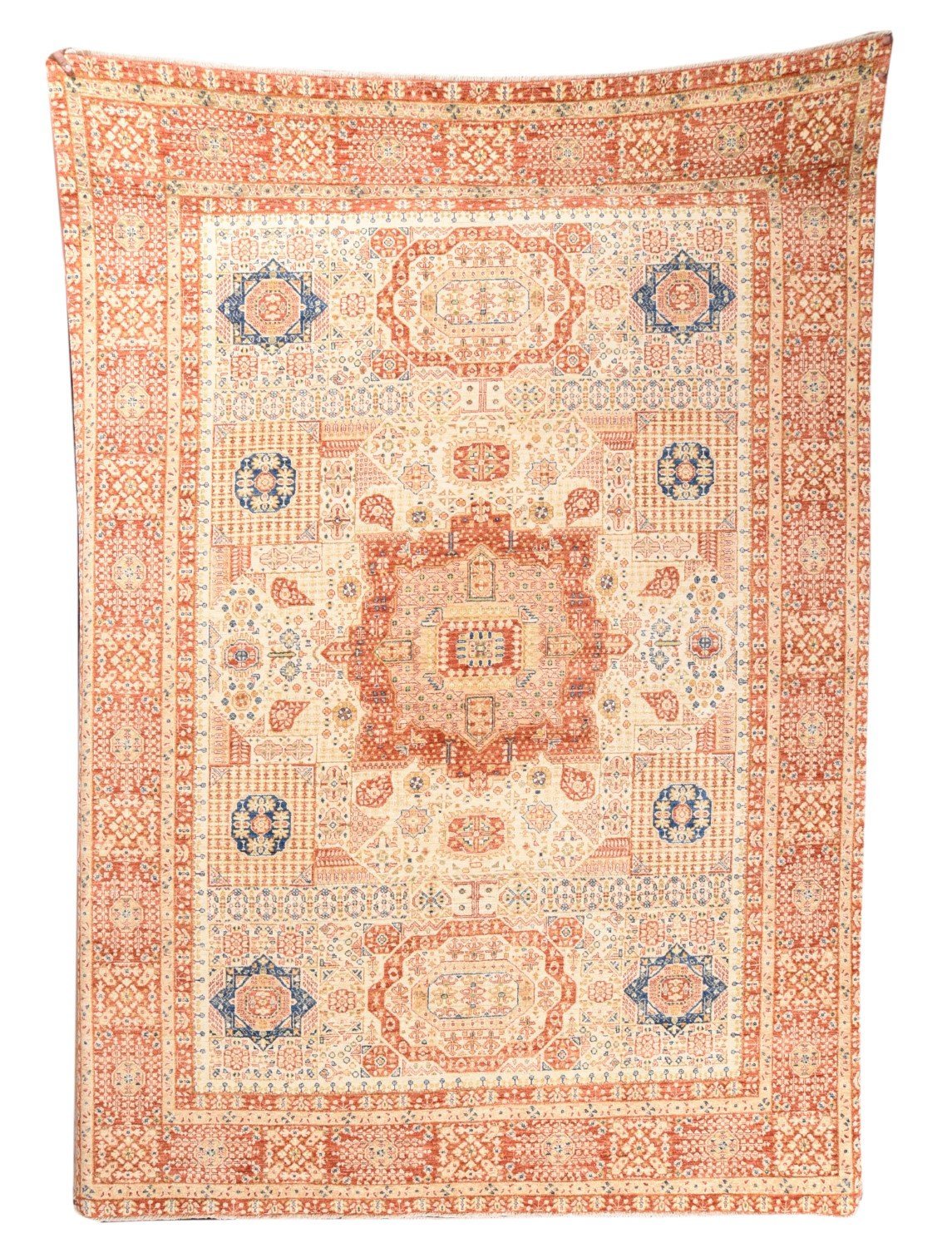 Area Rug 2911