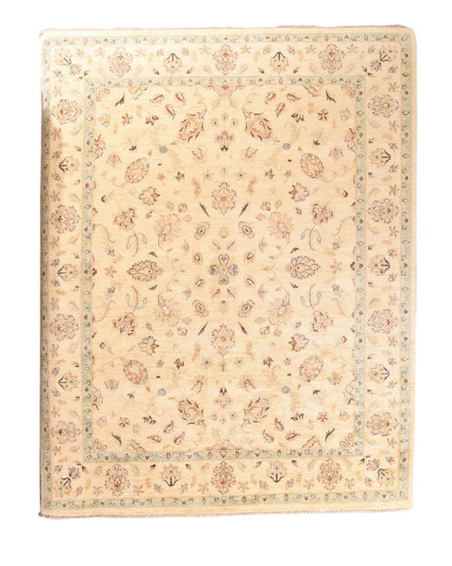 Area Rug 2918