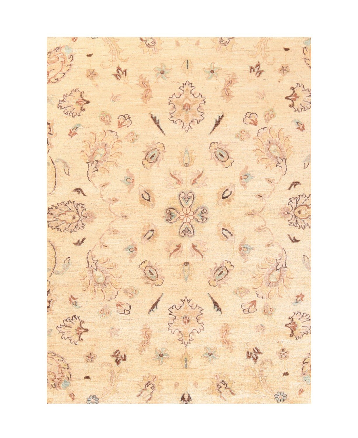 Area Rug 2918