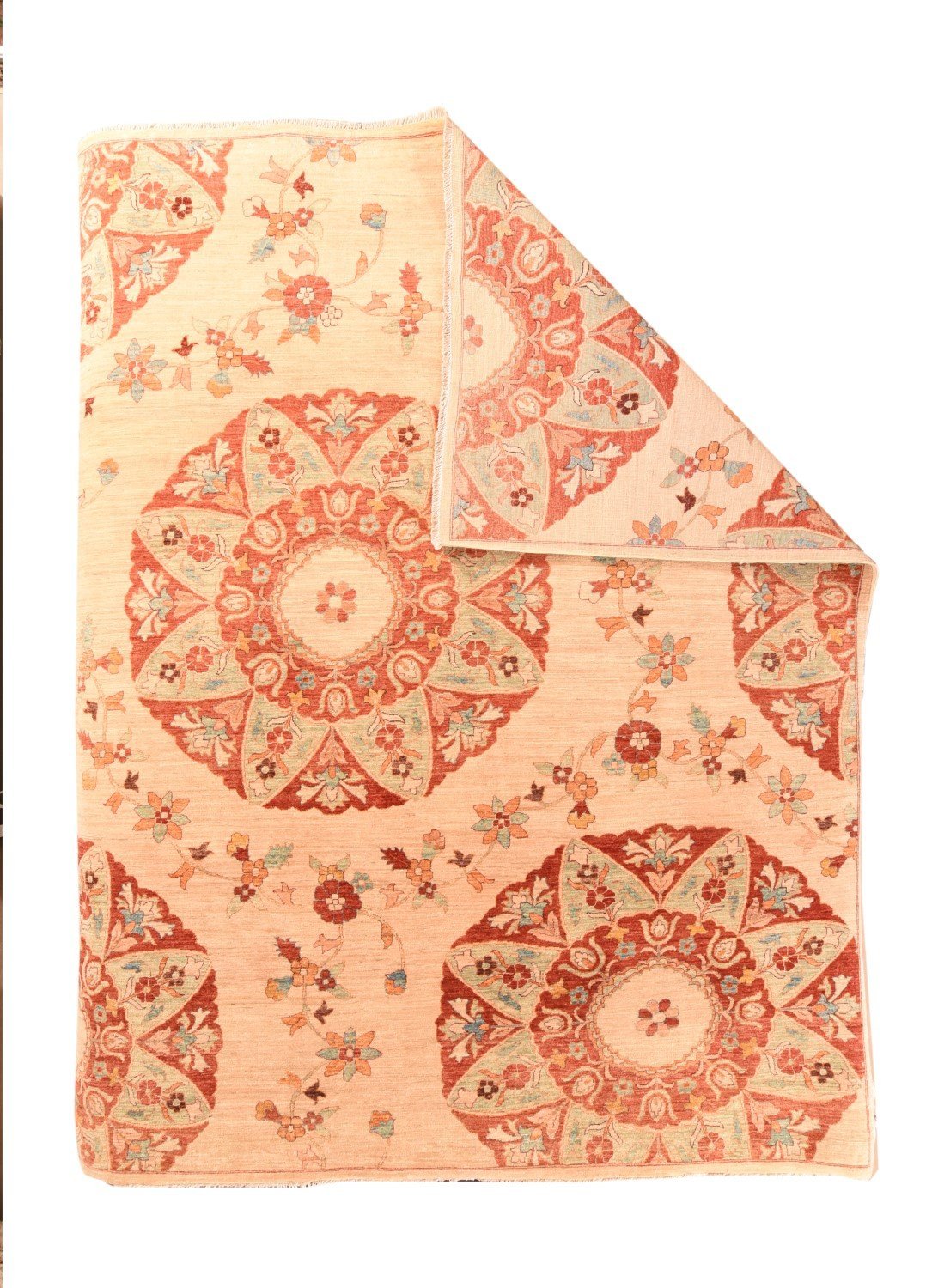 Area Rug 2938