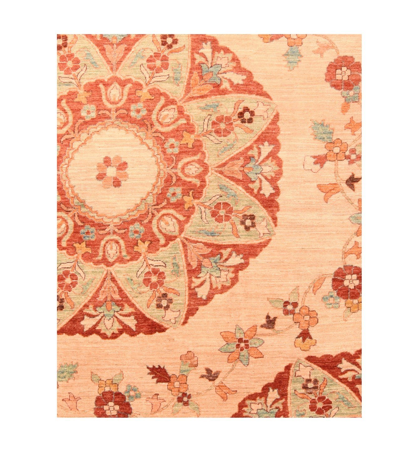 Area Rug 2938