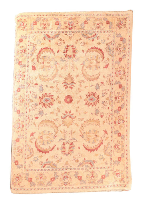 Area Rug 2939