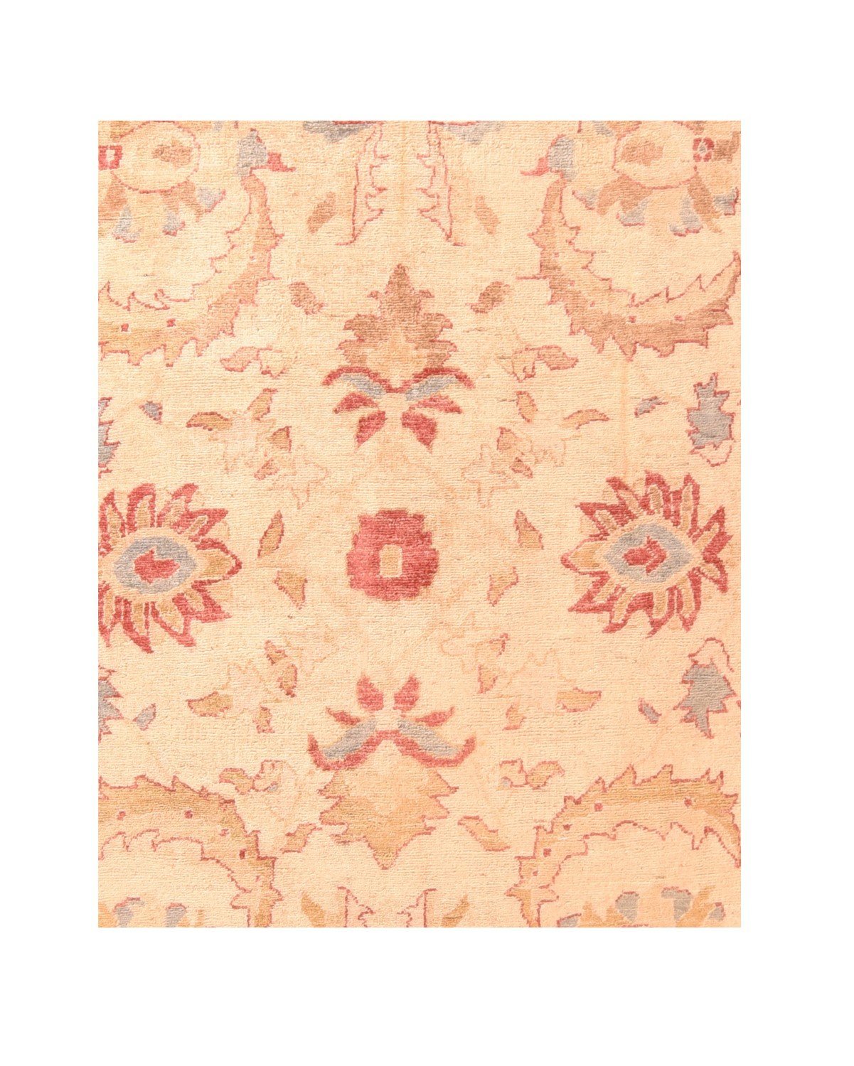 Area Rug 2939